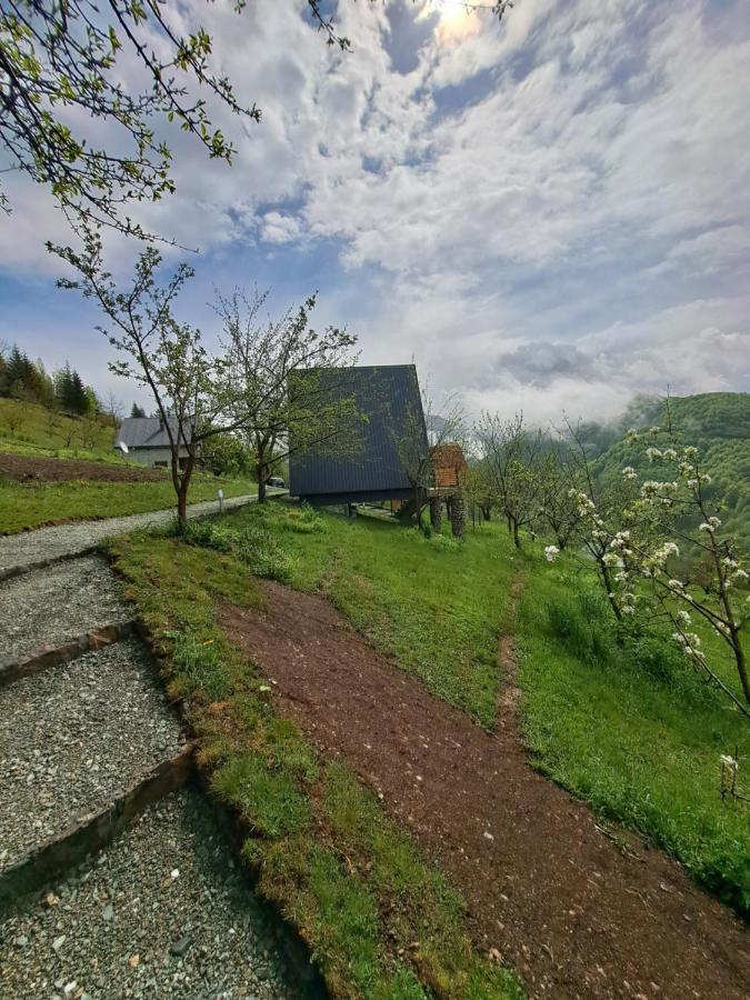 Fern Farm Tiny Home Mojkovac Dış mekan fotoğraf