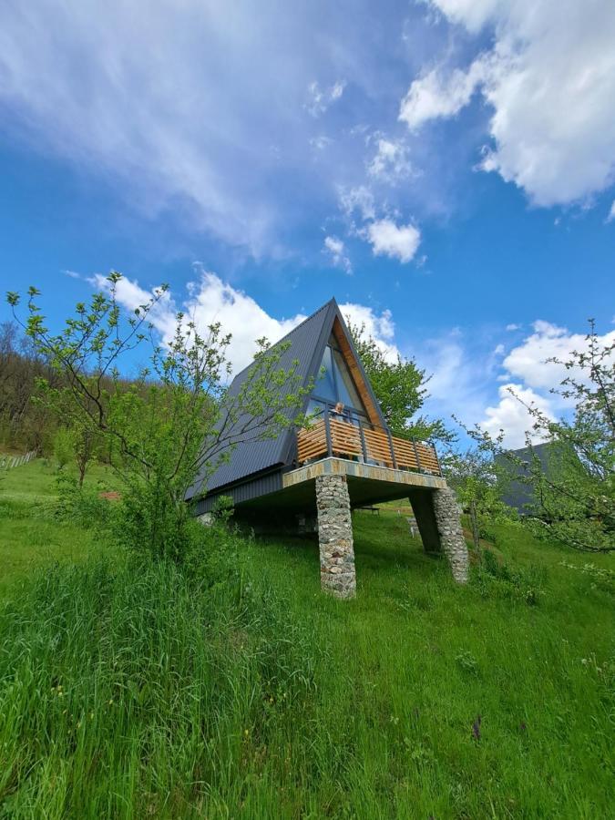 Fern Farm Tiny Home Mojkovac Dış mekan fotoğraf