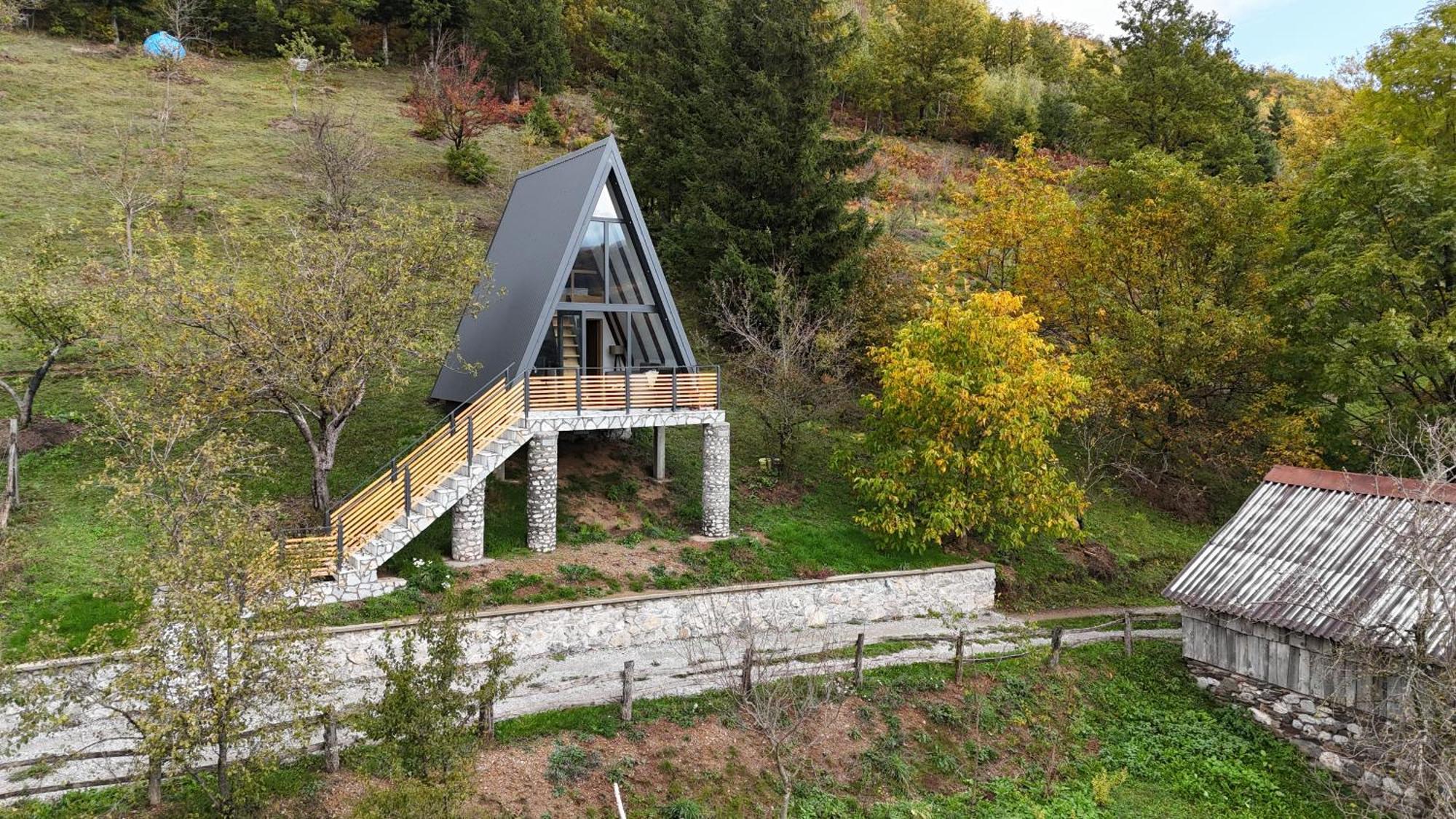 Fern Farm Tiny Home Mojkovac Dış mekan fotoğraf