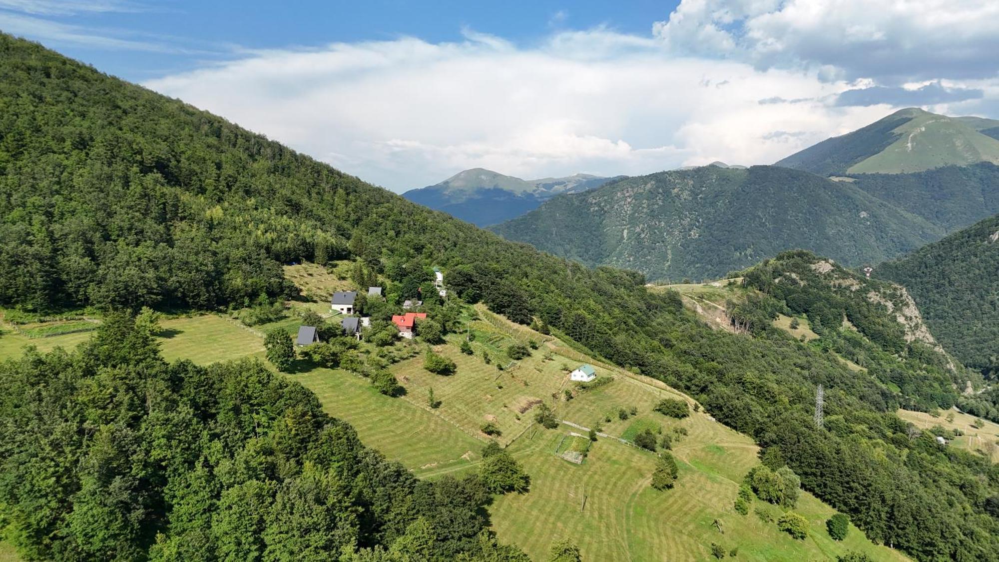 Fern Farm Tiny Home Mojkovac Dış mekan fotoğraf